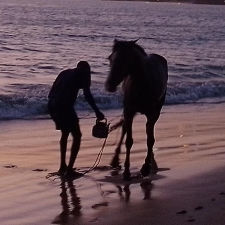Paradisplage, 1 Minute De La Mer Saly Portudal Eksteriør billede