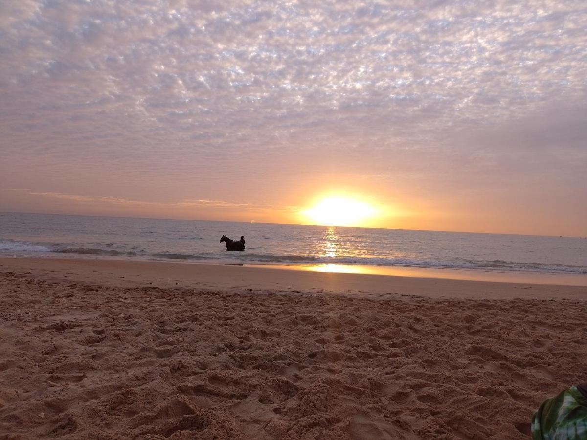 Paradisplage, 1 Minute De La Mer Saly Portudal Eksteriør billede